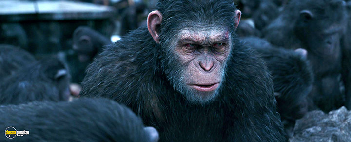 A still #31 from War for the Planet of the Apes (2017)