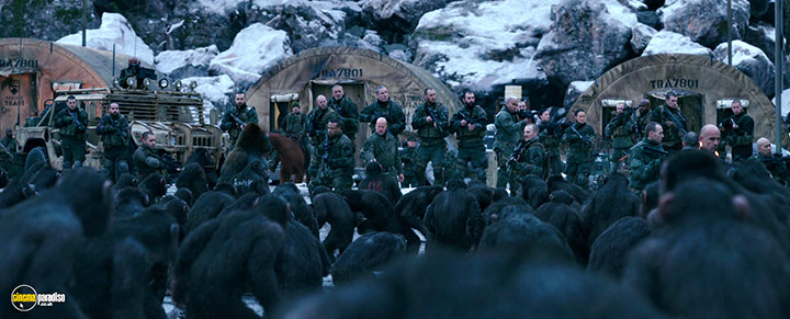 A still #28 from War for the Planet of the Apes (2017)