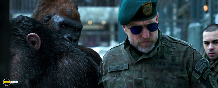 A still #20 from War for the Planet of the Apes (2017)
