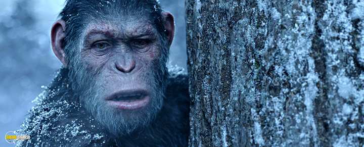 A still #1 from War for the Planet of the Apes (2017)