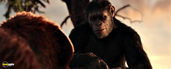 A still #15 from War for the Planet of the Apes (2017)