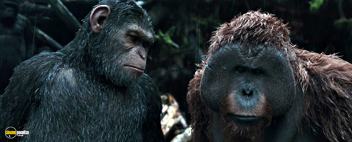 A still #14 from War for the Planet of the Apes (2017)