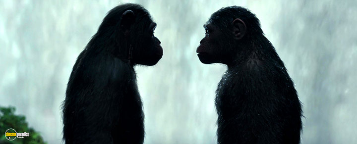 A still #13 from War for the Planet of the Apes (2017)