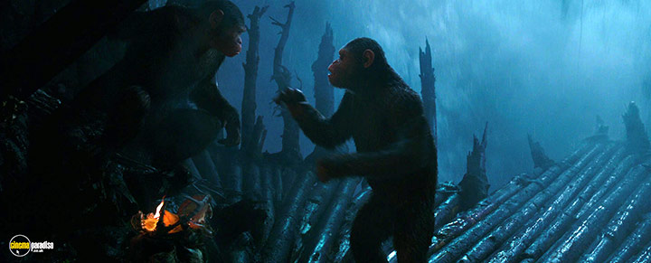 A still #12 from War for the Planet of the Apes (2017)