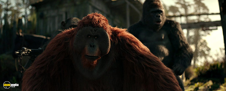 A still #8 from War for the Planet of the Apes (2017)