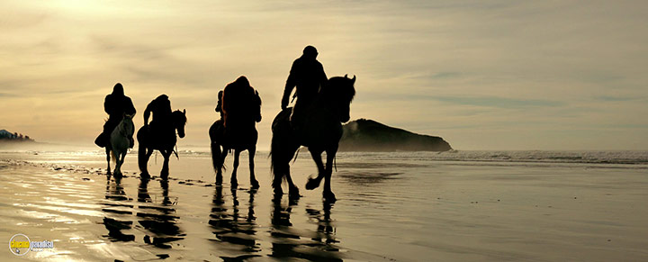 A still #7 from War for the Planet of the Apes (2017)