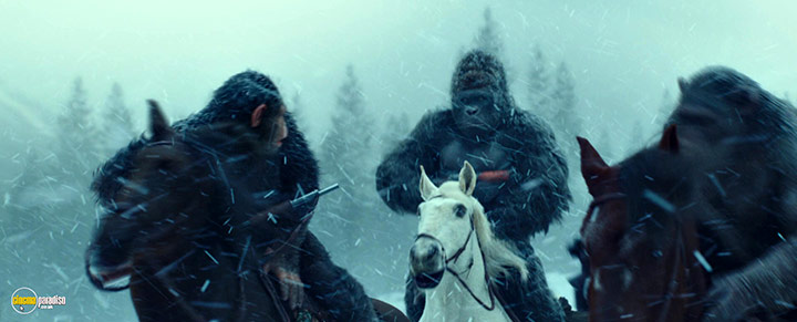 A still #5 from War for the Planet of the Apes (2017)
