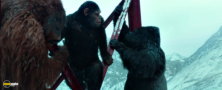 A still #2 from War for the Planet of the Apes (2017)