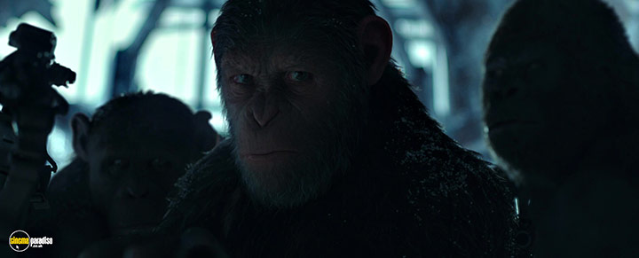 A still #6 from War for the Planet of the Apes (2017)
