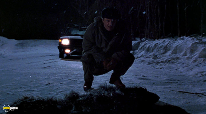 A still #19 from Wolf (1994)