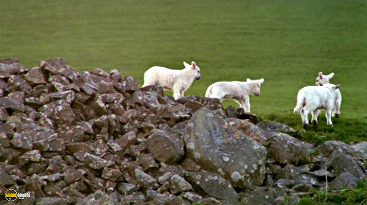 A still #8 from Rivers and Tides (2001)