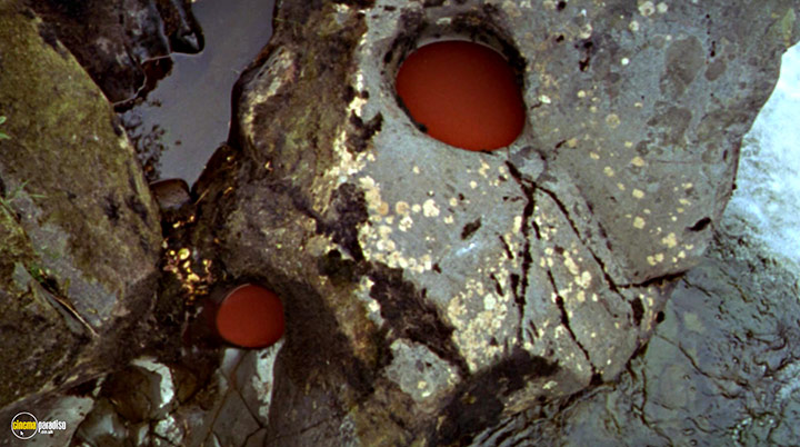 A still #21 from Rivers and Tides (2001)