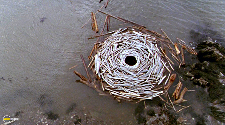 A still #26 from Rivers and Tides (2001)