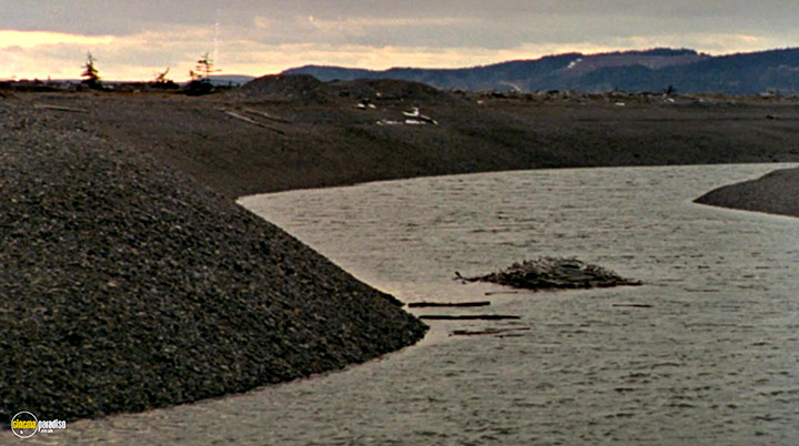 A still #27 from Rivers and Tides (2001)