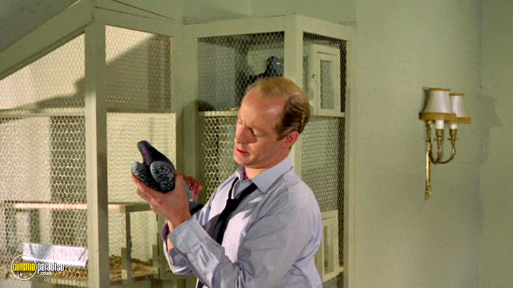 A still #137 from The Avengers: Series 5 (1967)