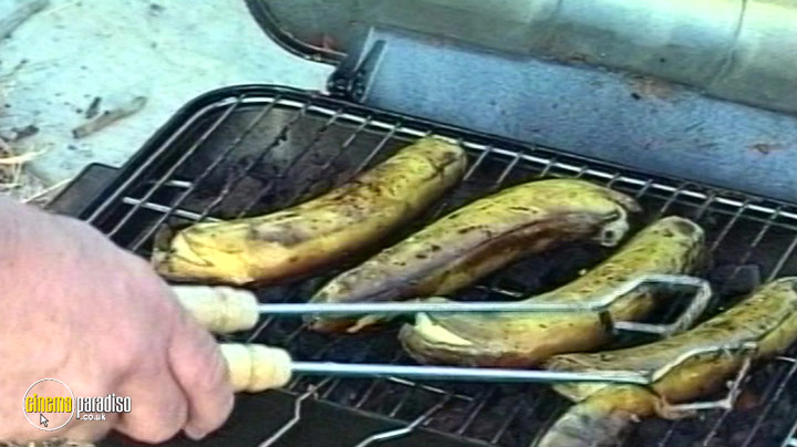 A still #3 from Barbecue Banquets (2005)