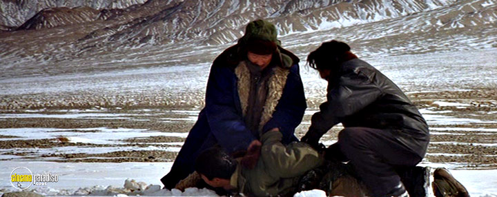 A still #11 from Mountain Patrol (2004)