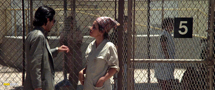 A still #42 from The Border (1982)