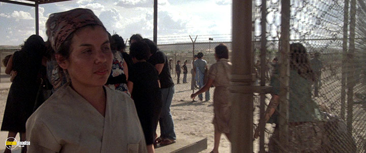 A still #41 from The Border (1982)