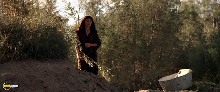 A still #13 from The Border (1982)