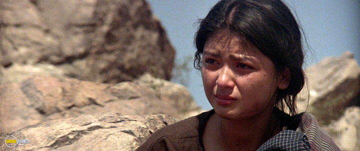 A still #11 from The Border (1982)