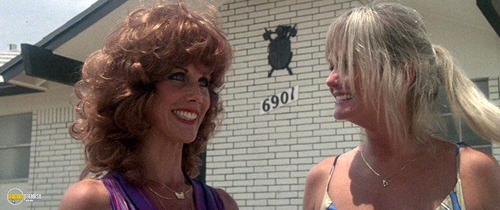 A still #10 from The Border (1982)