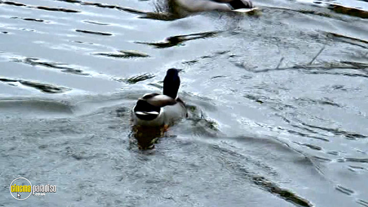A still #3 from Learn to Speak: Animals (2013)