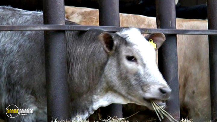 A still #7 from Learn to Speak: Animals (2013)