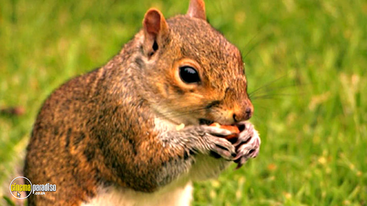 A still #8 from Learn to Speak: Animals (2013)