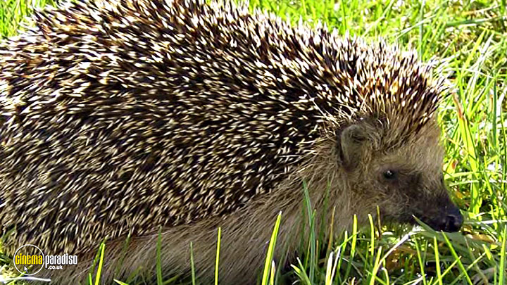 A still #11 from Learn to Speak: Animals (2013)