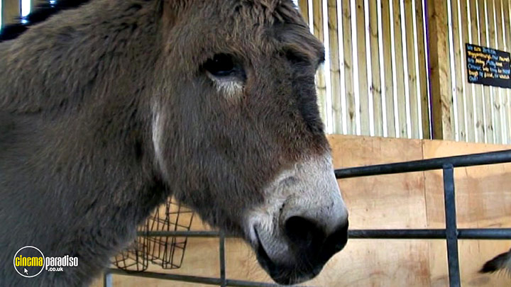 A still #17 from Learn to Speak: Animals (2013)