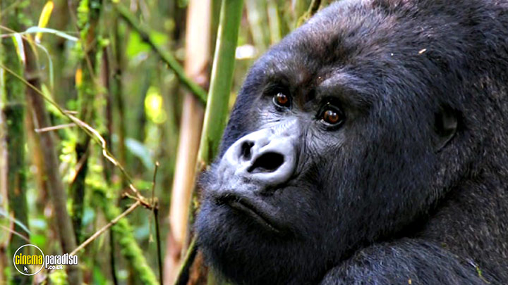 A still #19 from Learn to Speak: Animals (2013)