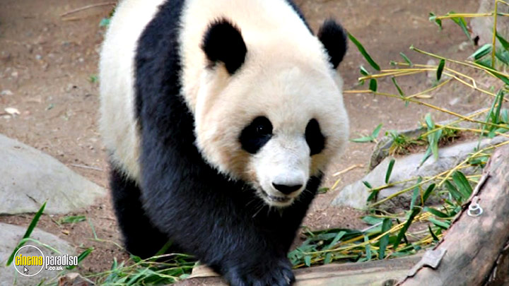 A still #21 from Learn to Speak: Animals (2013)