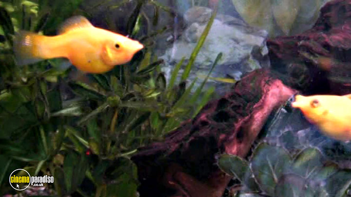 A still #22 from Learn to Speak: Animals (2013)
