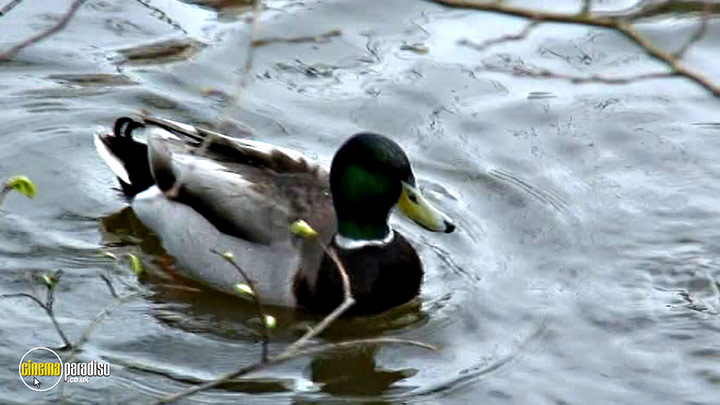 A still #23 from Learn to Speak: Animals (2013)