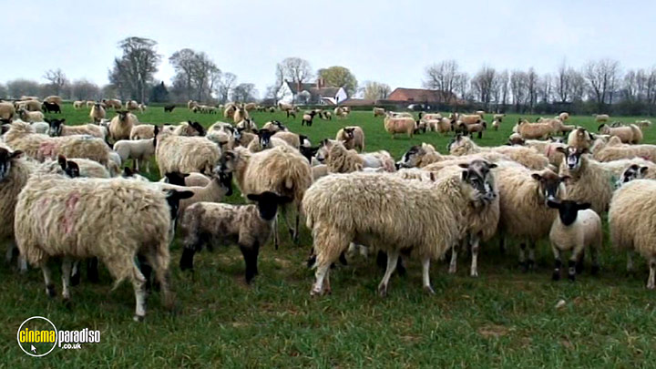 A still #24 from Learn to Speak: Animals (2013)