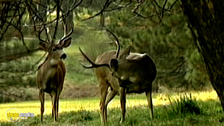 A still #25 from Learn to Speak: Animals (2013)