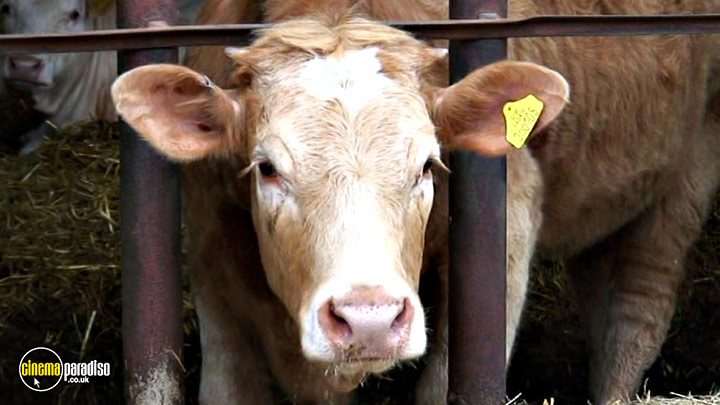 A still #27 from Learn to Speak: Animals (2013)