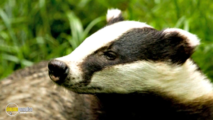A still #28 from Learn to Speak: Animals (2013)