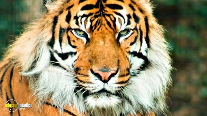 A still #32 from Learn to Speak: Animals (2013)