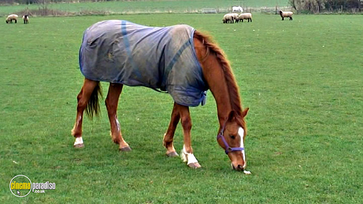 A still #37 from Learn to Speak: Animals (2013)