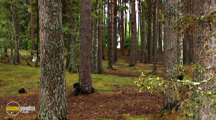 A still #4 from Travel with Kids: Scotland (2011)