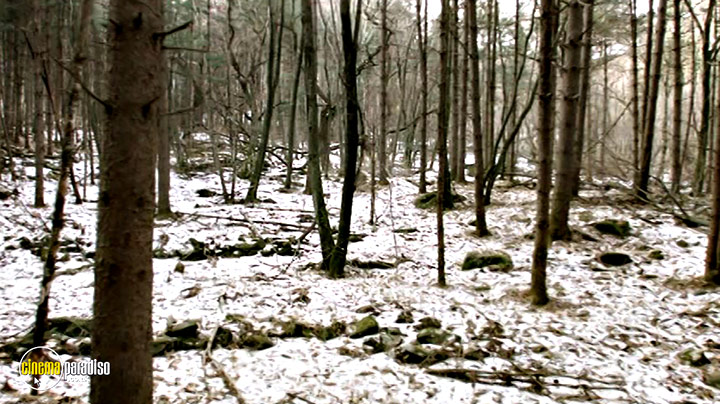 A still #41 from The Mimic (2017)