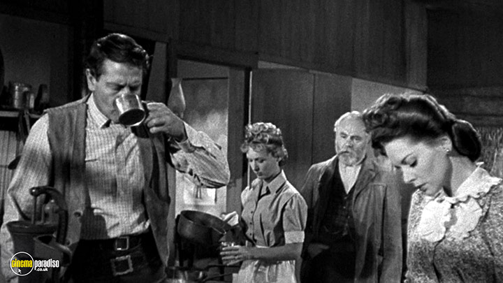 A still #5 from Ramrod (1947)