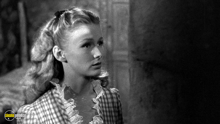 A still #10 from Ramrod (1947)