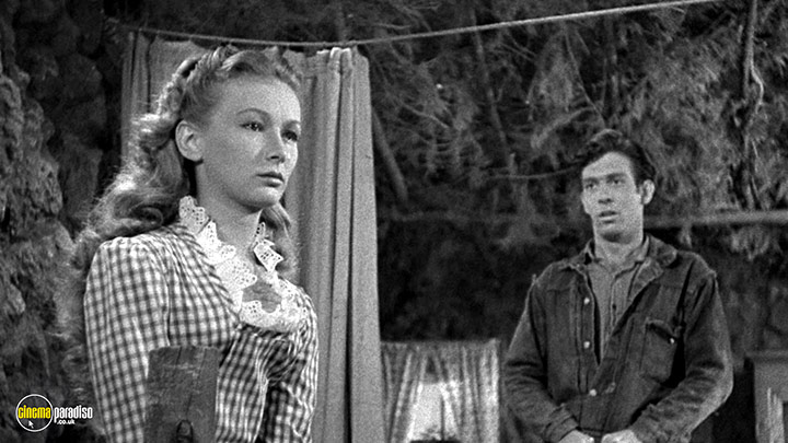 A still #12 from Ramrod (1947)