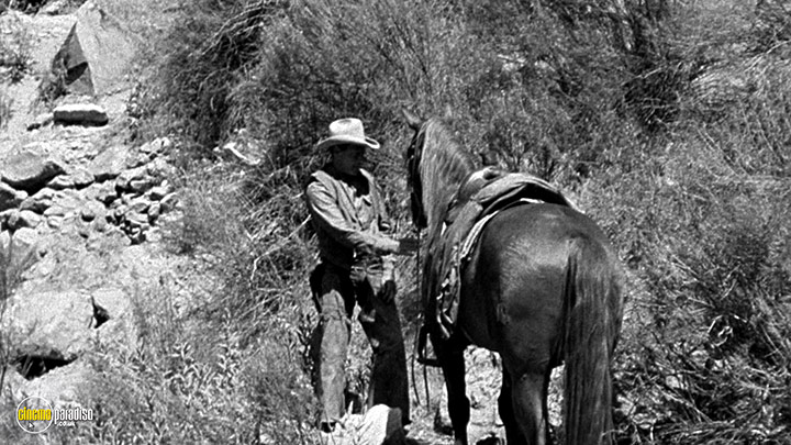A still #18 from Ramrod (1947)