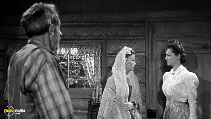 A still #23 from Ramrod (1947)
