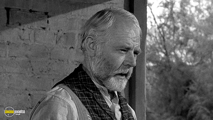 A still #28 from Ramrod (1947)