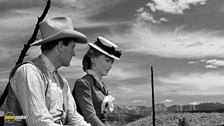 A still #39 from Ramrod (1947)